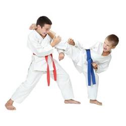 Kimono do karate dla dziecka + PAS Gratis - DBX BUSHIDO ARK-3102 120cm